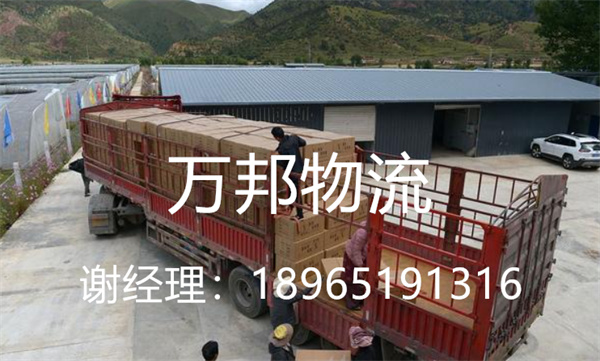 廈門到鹽城物流公司|廈門物流到鹽城|廈門到鹽城專線